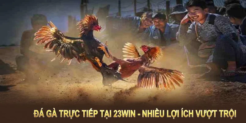 Ưu điểm vượt trội tại 23WIN