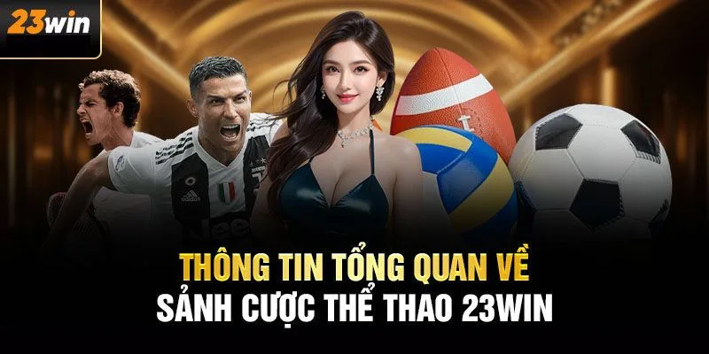 Ảnh chuyên mục thể thao 23WIN